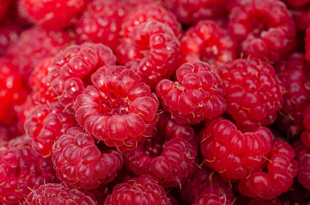 Darmfreundliche Ernährung kathas fotos raspberries 7313700 1920